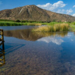 Laguna de Batuco. Créditos Fundación San José de Maipo