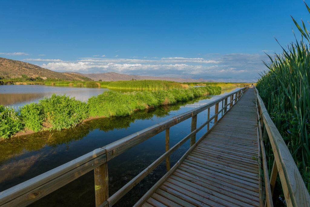 Laguna de Batuco. Créditos Fundación San José de Maipo