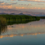 Laguna de Batuco. Créditos Fundación San José de Maipo