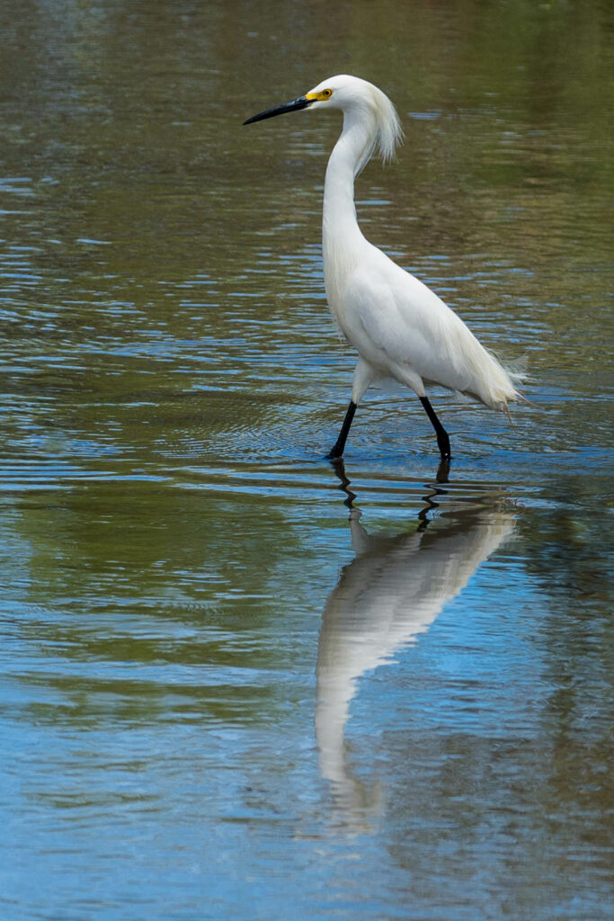 Laguna de Batuco. Créditos Fundación San José de Maipo