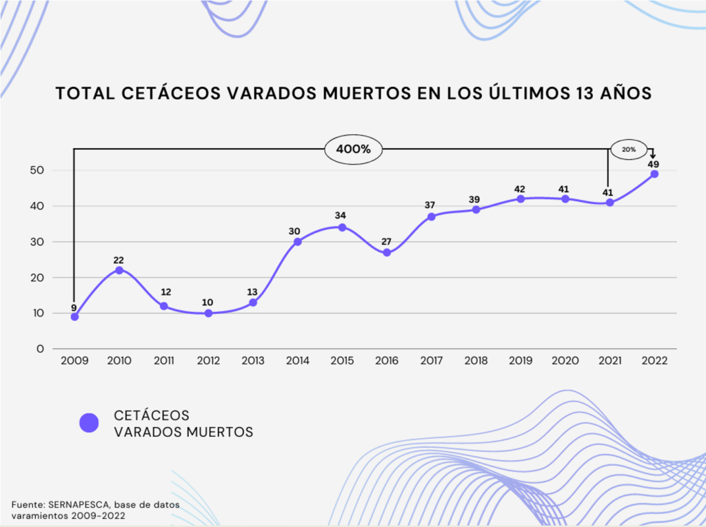 Gráfico total de cetáceos varados muertos en los últimos 13 años.