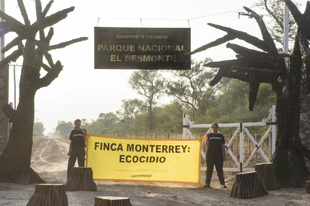 Activistas de Greenpeace intervinieron la entrada de la estancia Monterrey, en límites con el Parque Nacional Copo, y denunciar que allí se deforestaron ilegalmente más de 1.800 hectáreas de bosques, fotografiado por Greenpeace Argentina.