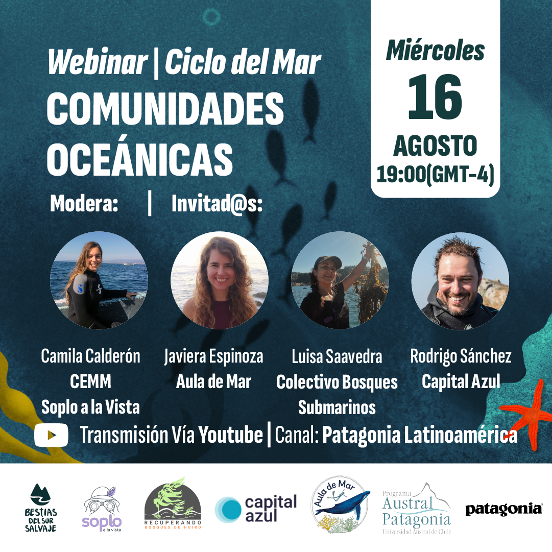 Ciclo del mar: Webinar dará a conocer iniciativas de protección del océano