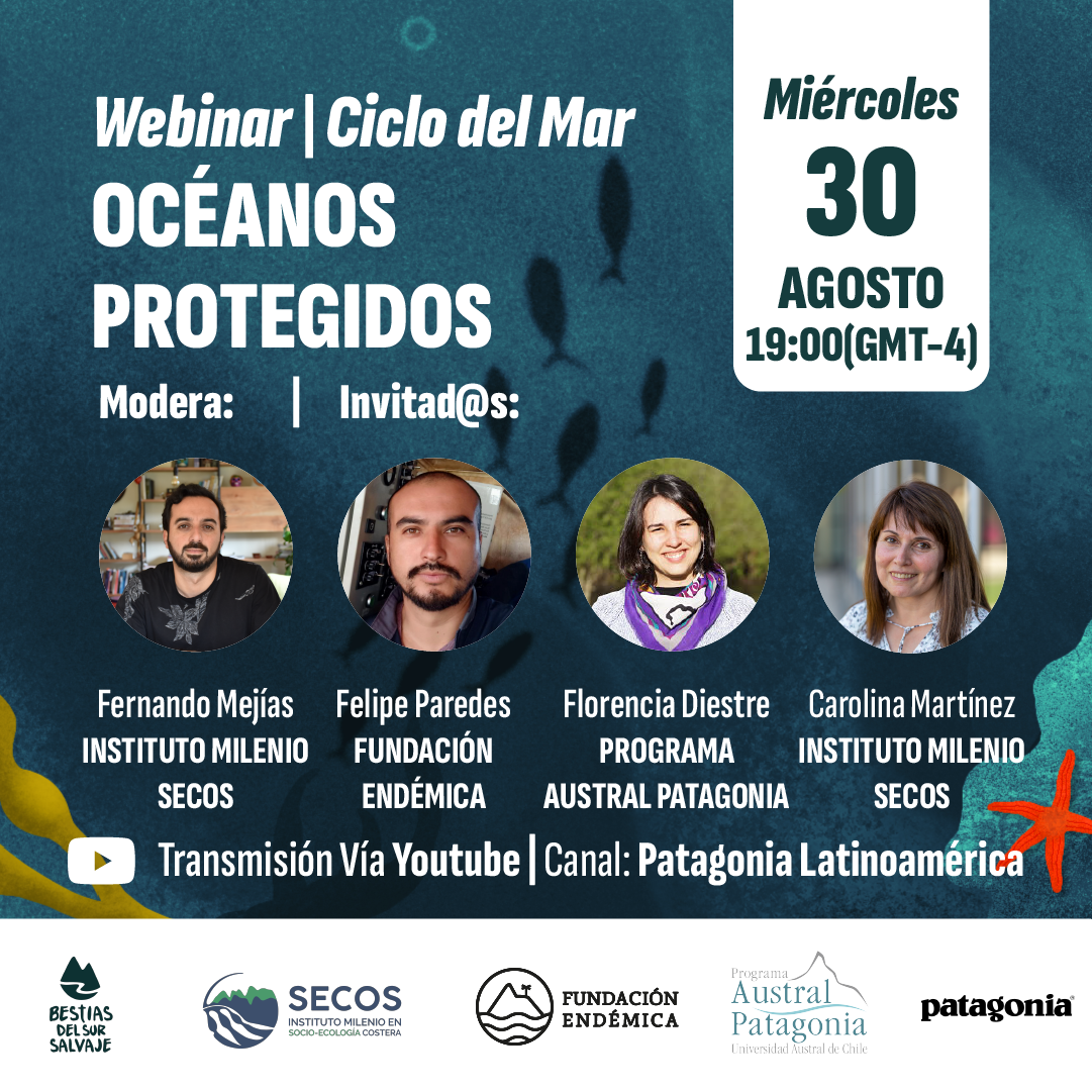 Webinar: Un espacio diálogo en torno al océano