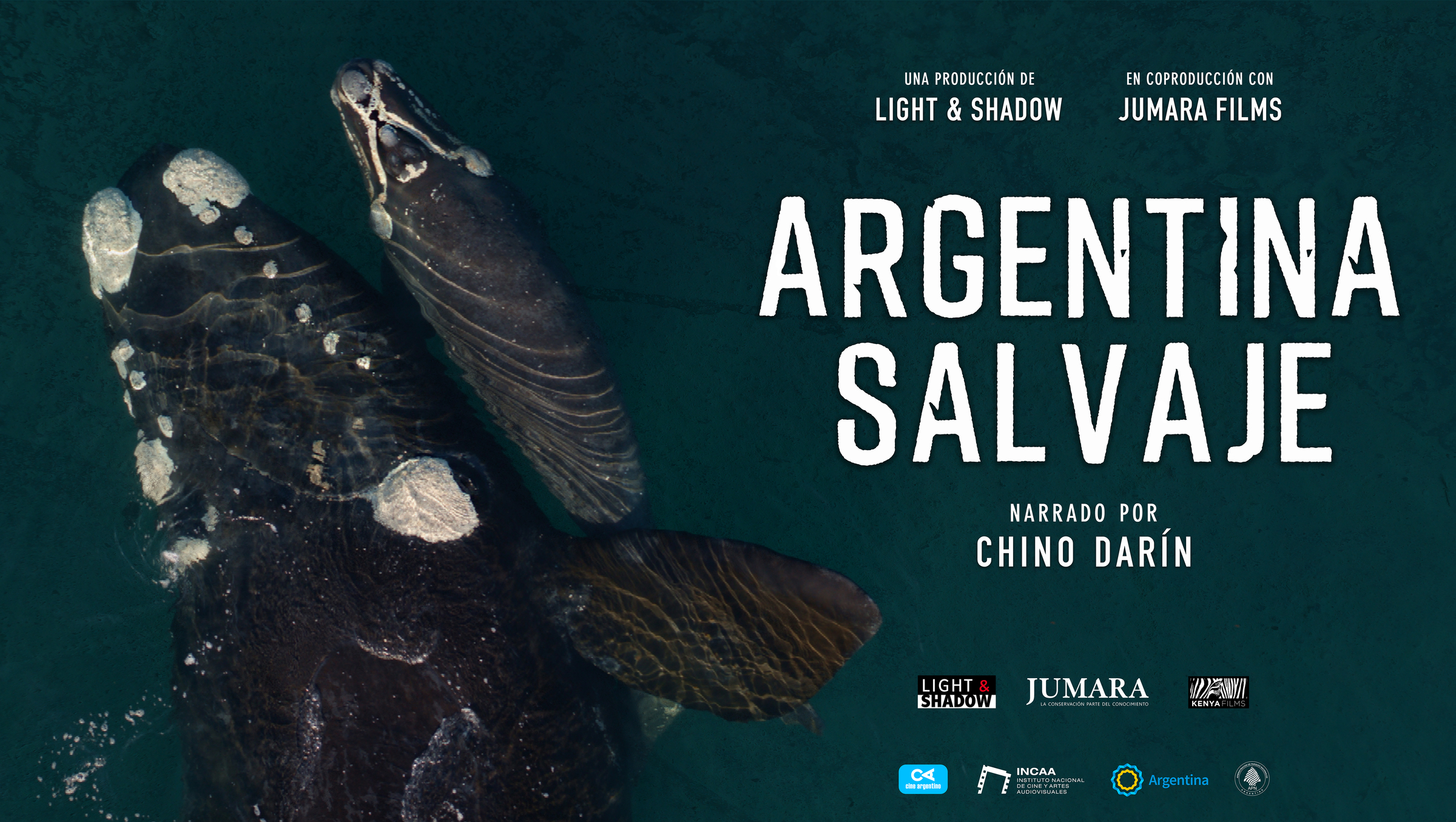 “Argentina Salvaje”, la primera película argentina de naturaleza y vida salvaje para cine