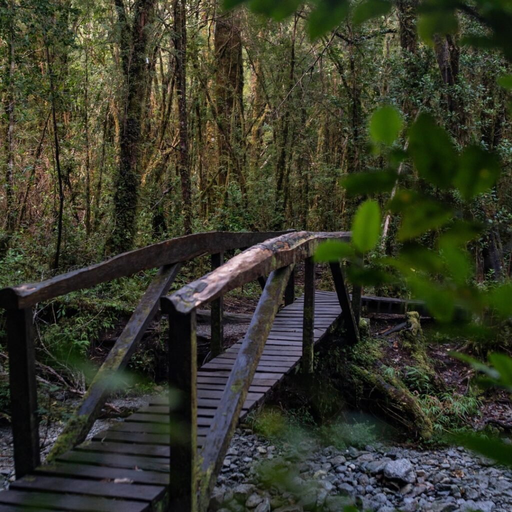 Sendero, Valle Cochamó.