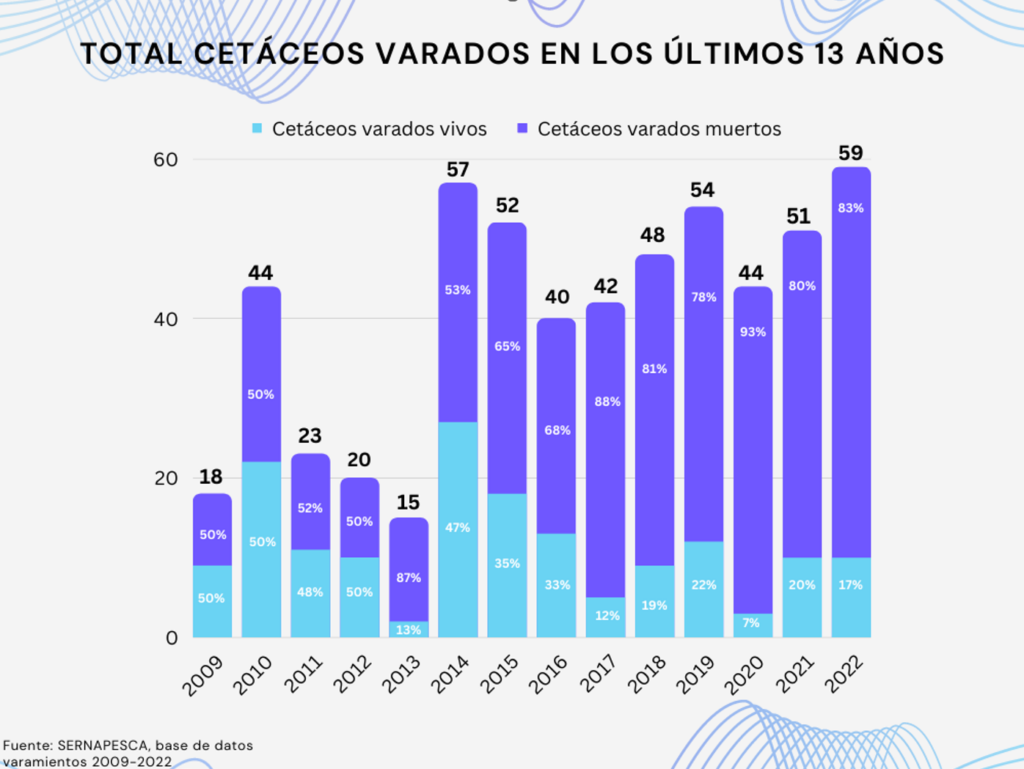 Total cetáceos varados en los últimos 13 años.