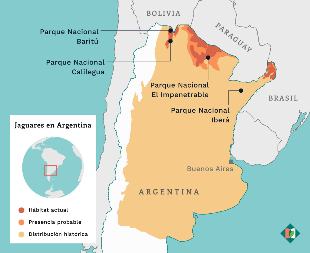 Mapa, jaguares en Argentina.