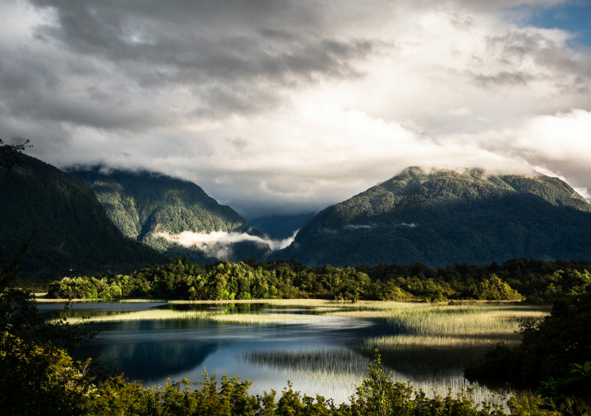 Fundación Kennedy lanza su cuarta versión del concurso nacional de fotografía “Descubriendo Humedales de Chile”