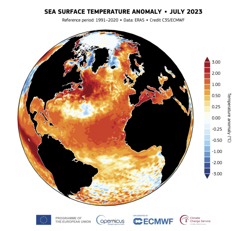 Anomalía de la temperatura de la superficie del mar (°C) para julio de 2023. Fuente de datos: ERA5. Crédito: Servicio de Cambio Climático Copernicus/ECMWF