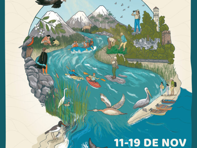  ¡No te lo pierdas! “Festival Somos Cuenca 2023” un festejo regenerativo por las aguas en Chile
