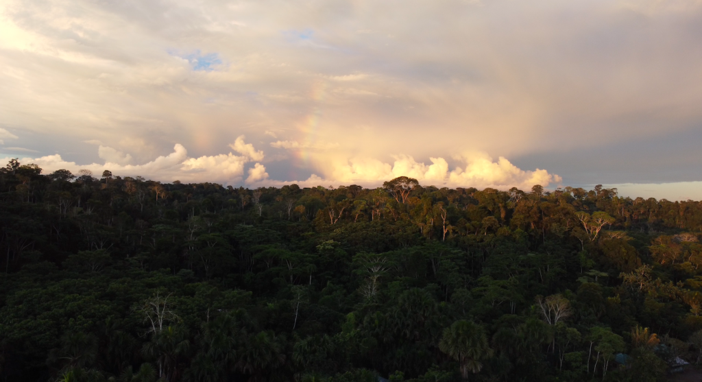 Bosque de Mashientz que forma parte del área de conservación de la comunidad. Foto: Sebastián Espín / Conservación Internacional Ecuador.