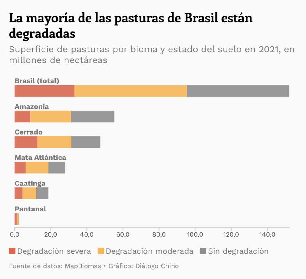 gráfico sobre las pasturas de Brasil degradadas.