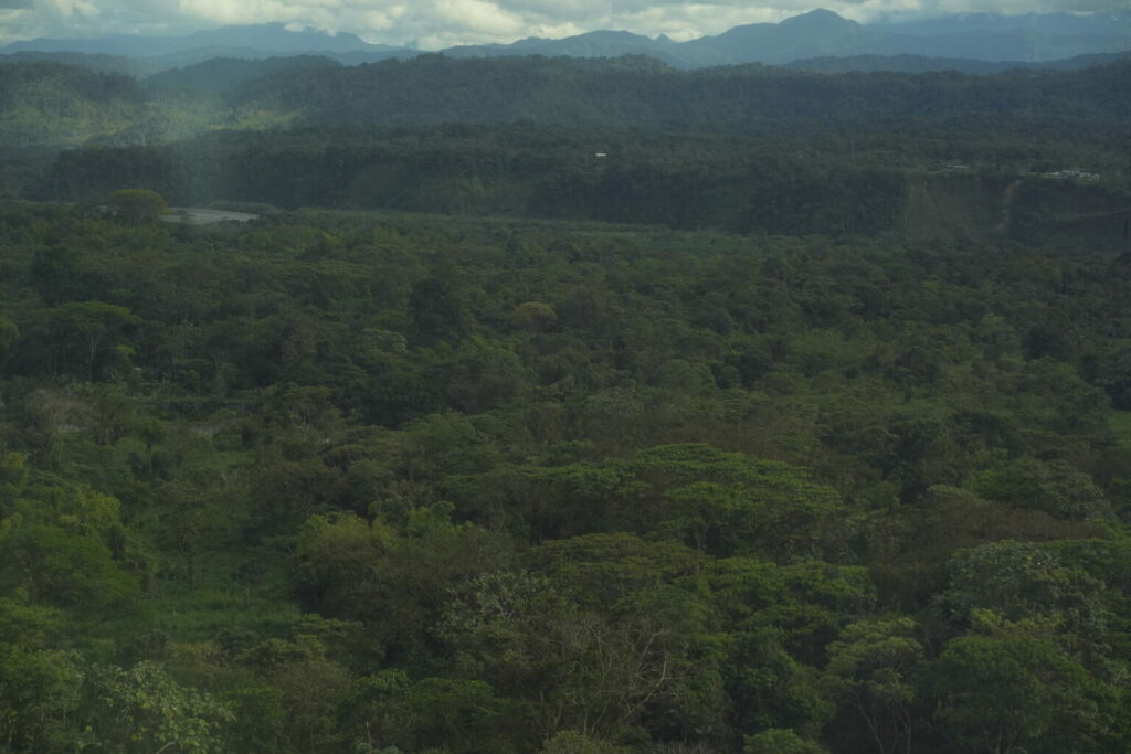 Bosque a la llegada a comunidad de Mashientz, vía áerea. Foto: Sebastián Espín / Conservación Internacional Ecuador.