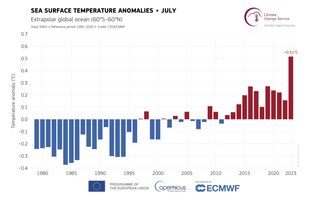 Anomalías de la temperatura de la superficie del mar (°C). Fuente de datos: ERA5. Crédito: Servicio de Cambio Climático Copernicus/ECMWF.