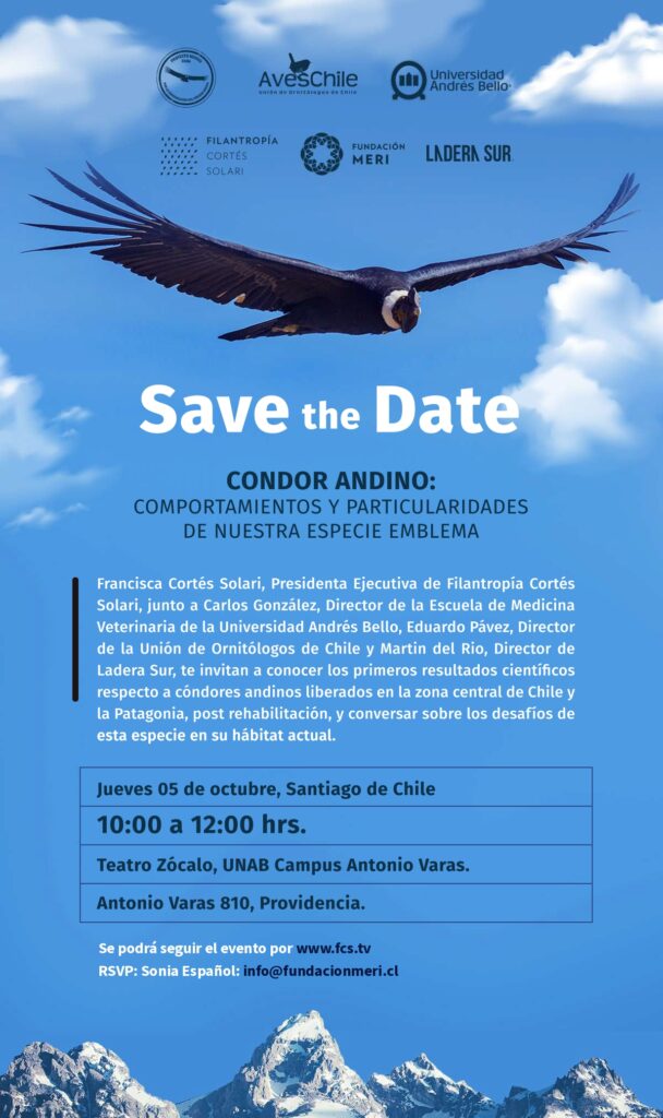 Afiche. Foto: Archivo de medios.