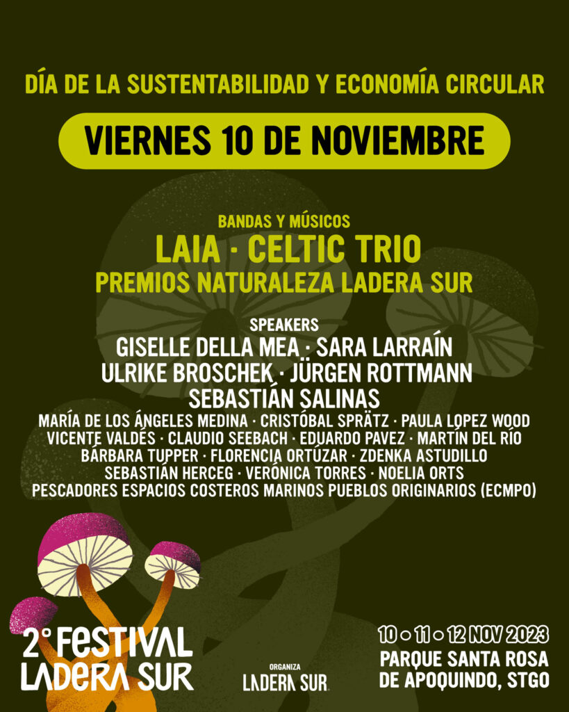 Line up Festival Ladera Sur