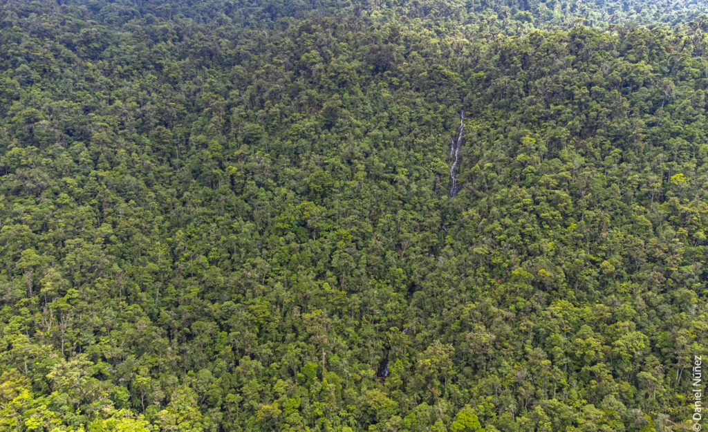 bosque nuboso guatemala