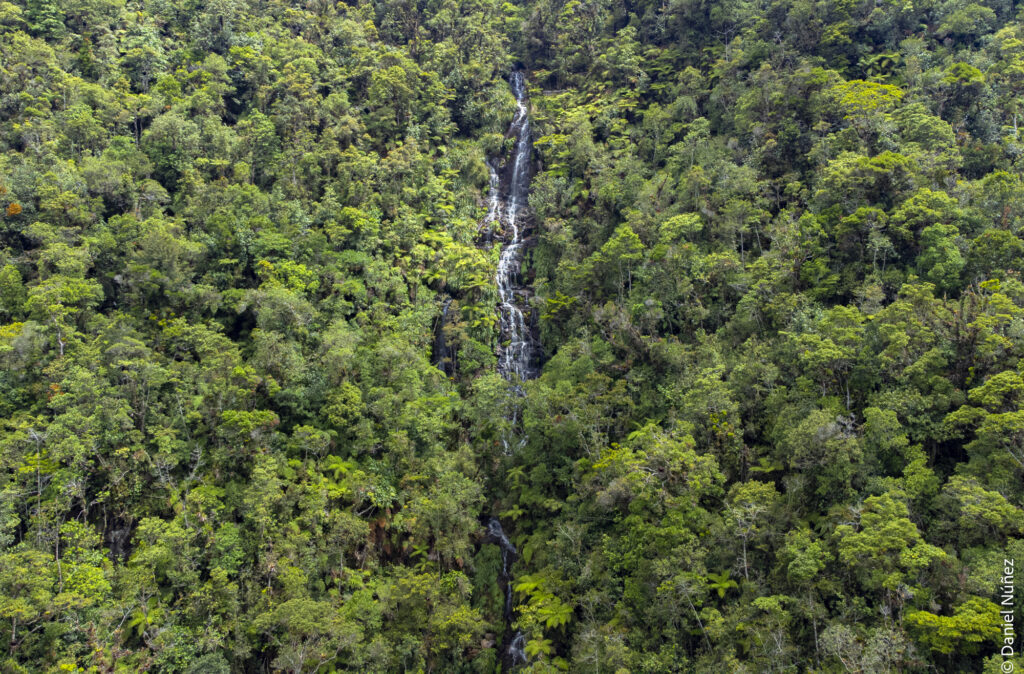 vista aérea bosque nuboso guatemala.