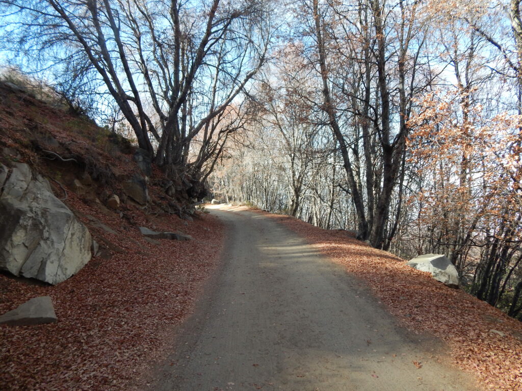 Camino a la cima del Roble. Foto: Damaris Villanueva.