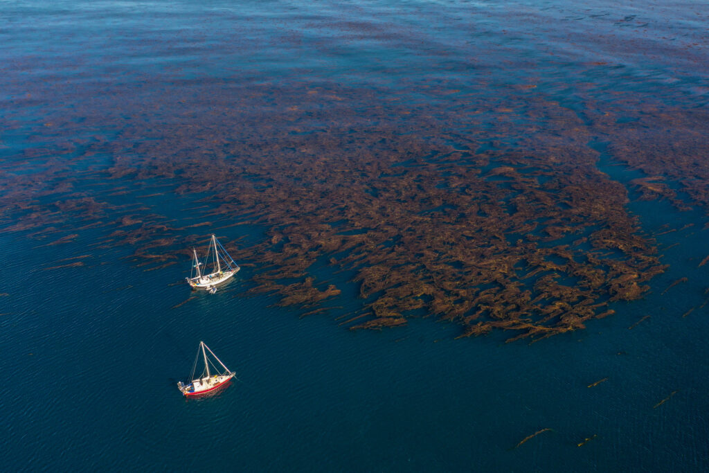 Expedición de "Por el Mar" en península Mitre Argentina. Créditos: Joel Reyero.