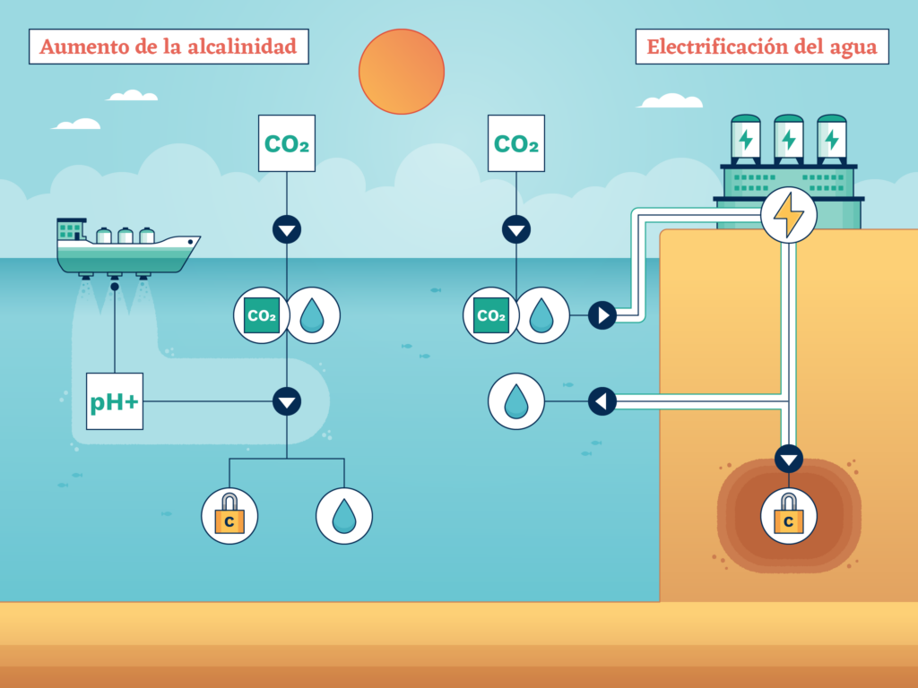 Aumentar la alcalinidad de los océanos es un método para eliminar CO2 que se logra al añadir al agua de mar materiales triturados como la cal. Esto desencadena reacciones químicas que convierten el CO2 disuelto en moléculas más estables que retienen el carbono. El paso de una corriente eléctrica a través del agua de mar también tiene un impacto a nivel molecular, ya sea aumentando la alcalinidad o liberando gas CO2 que puede ser capturado (Gráfico: James Round / Diálogo Chino) Archivo de medios.