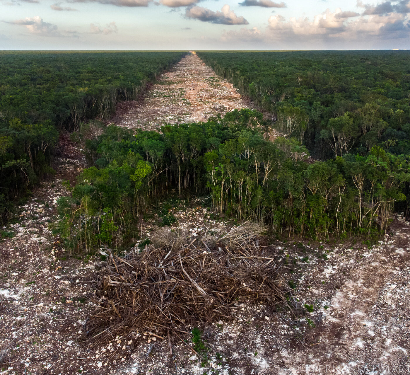Lo que va dejando el Tren Maya, impactantes registros del ganador de “Wildlife Photographer Of The Year 2023” en fotoperiodismo