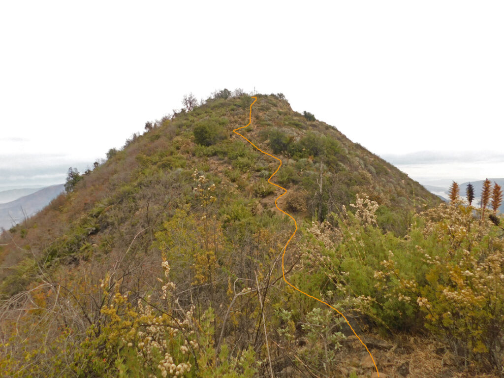 Cerro La Quisca. Foto: Álvaro Vicanco/Andeshandbook
