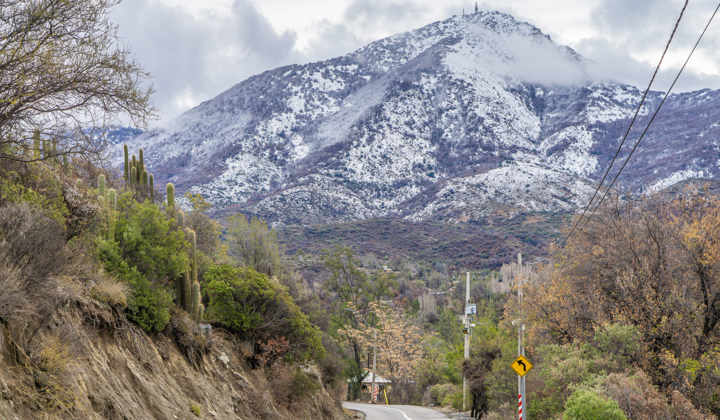 Santuario de la Naturaleza Cerro el Roble: conservando riqueza natural e histórica única en la Región Metropolitana