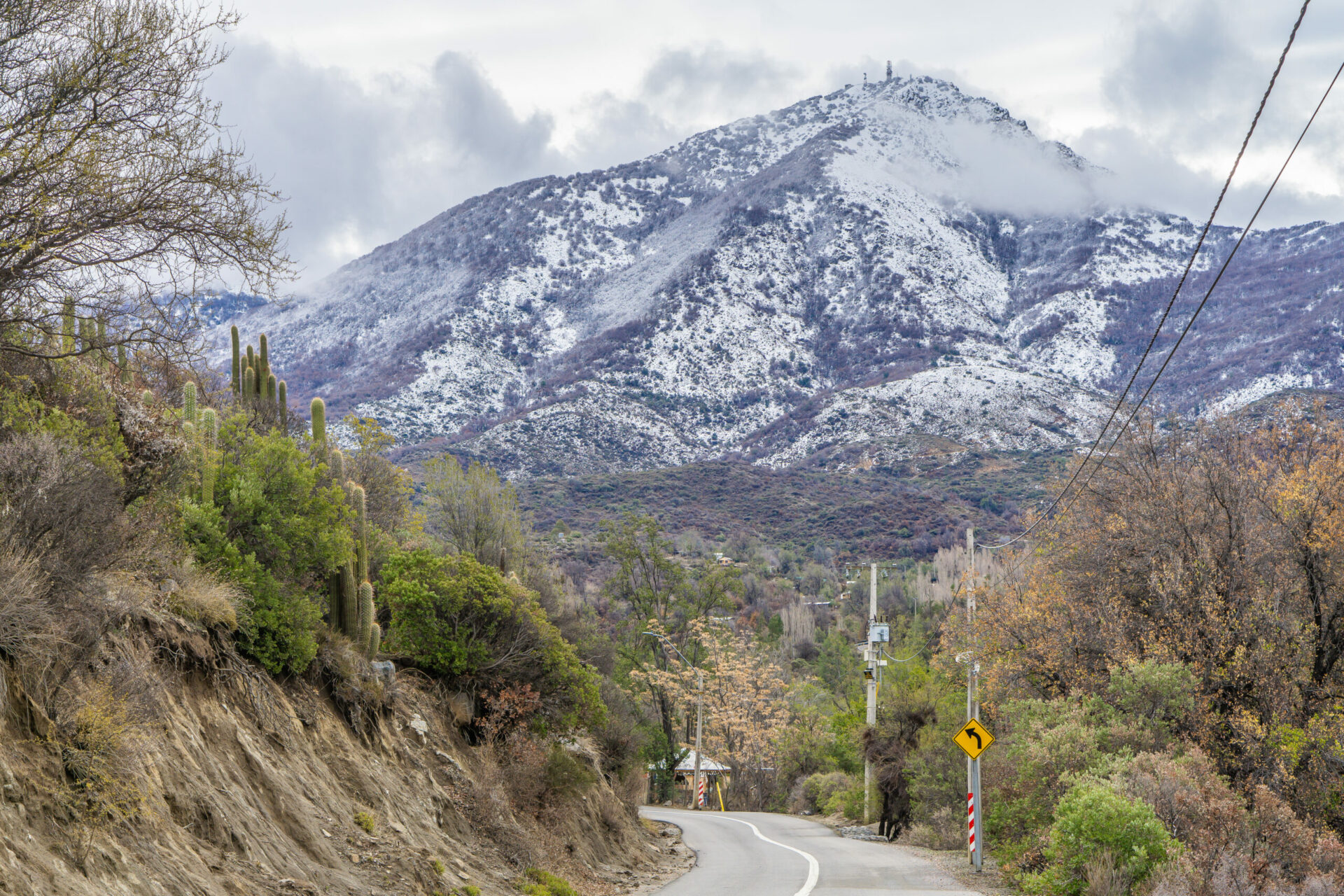 Santuario de la Naturaleza Cerro el Roble: conservando riqueza natural e histórica única en la Región Metropolitana