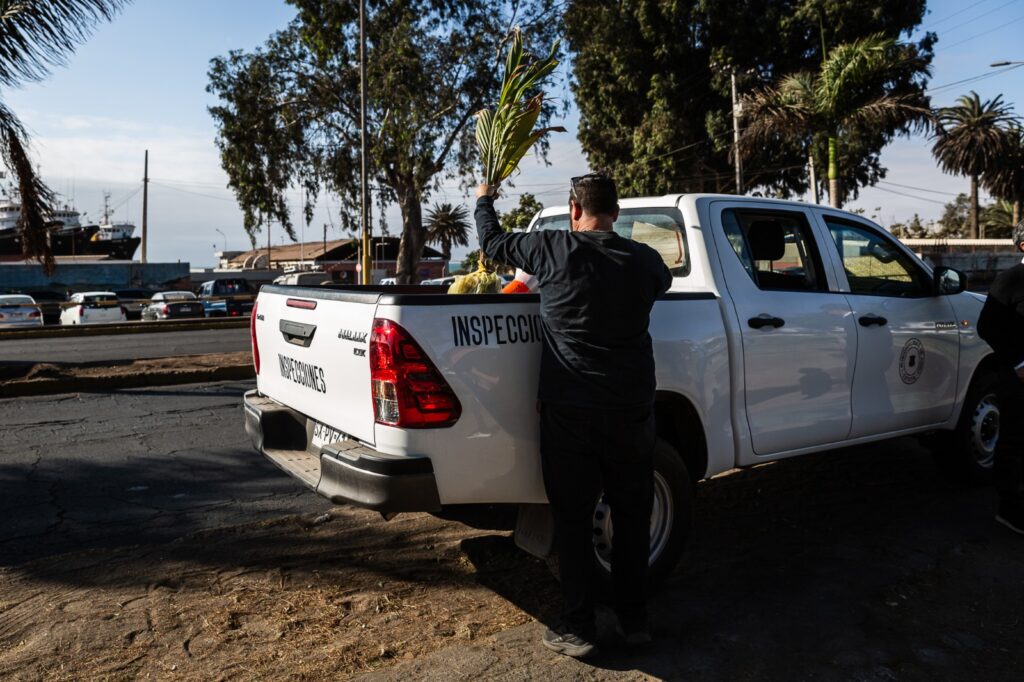 Foto: Municipalidad de Arica.