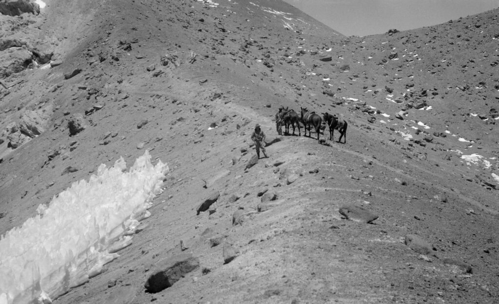 Un hombre junto a sus caballos en las tierras de las nieves penitentes. Créditos: Créditos: Archivo fotográfico de William Rudolph, facilitada por Enterreno Chile.
