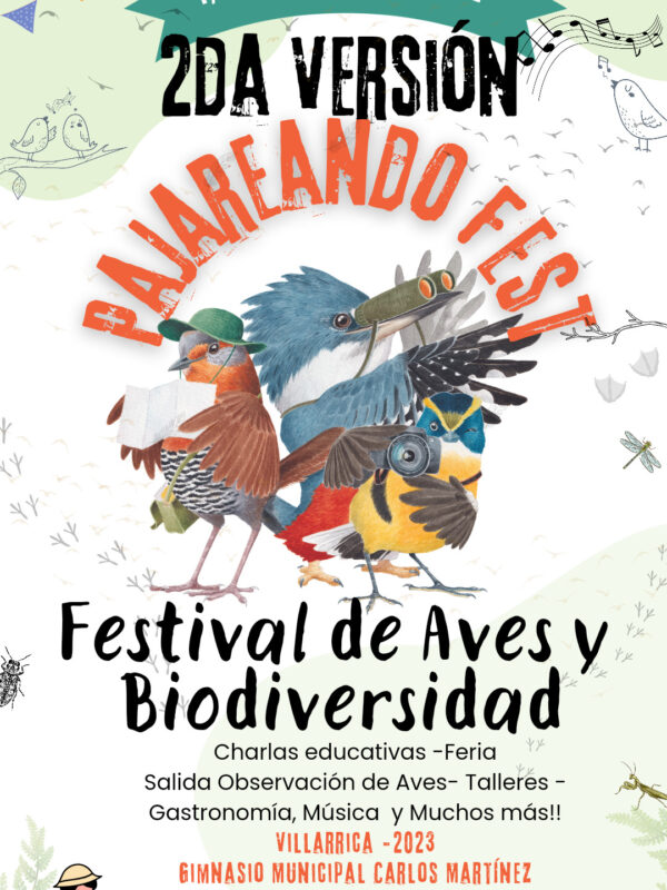 Pajareando Fest, la segunda versión del festival de aves y biodiversidad de Villarrica