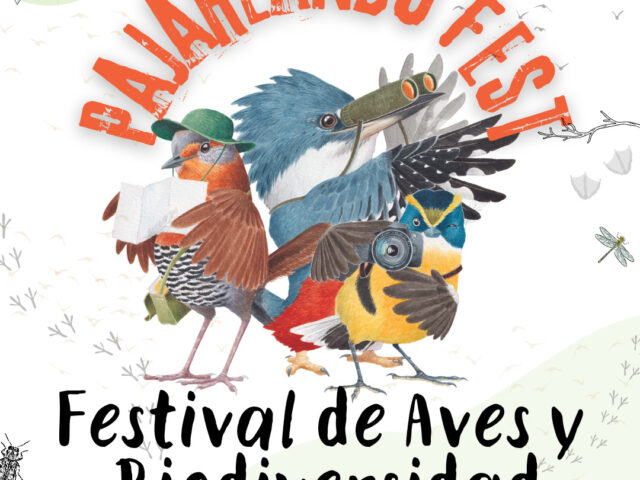 Pajareando Fest, la segunda versión del festival de aves y biodiversidad de Villarrica