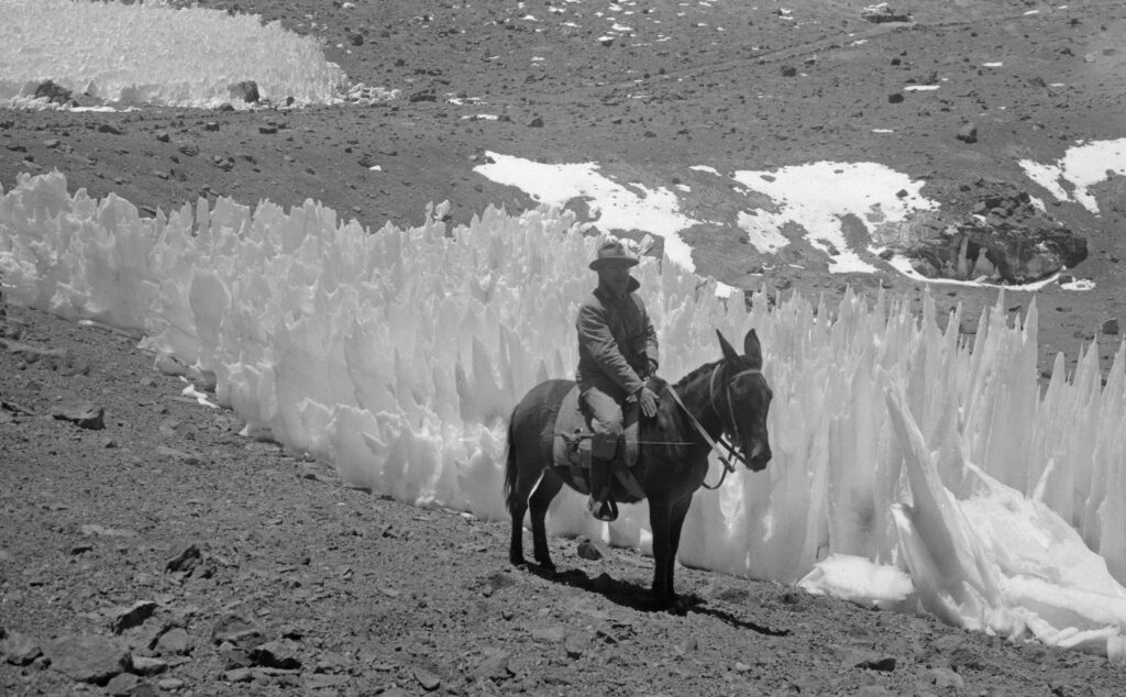 Penitentes de nieve en el Desierto de Atacama (1950). Créditos: Archivo fotográfico de William Rudolph, facilitada por Enterreno Chile.