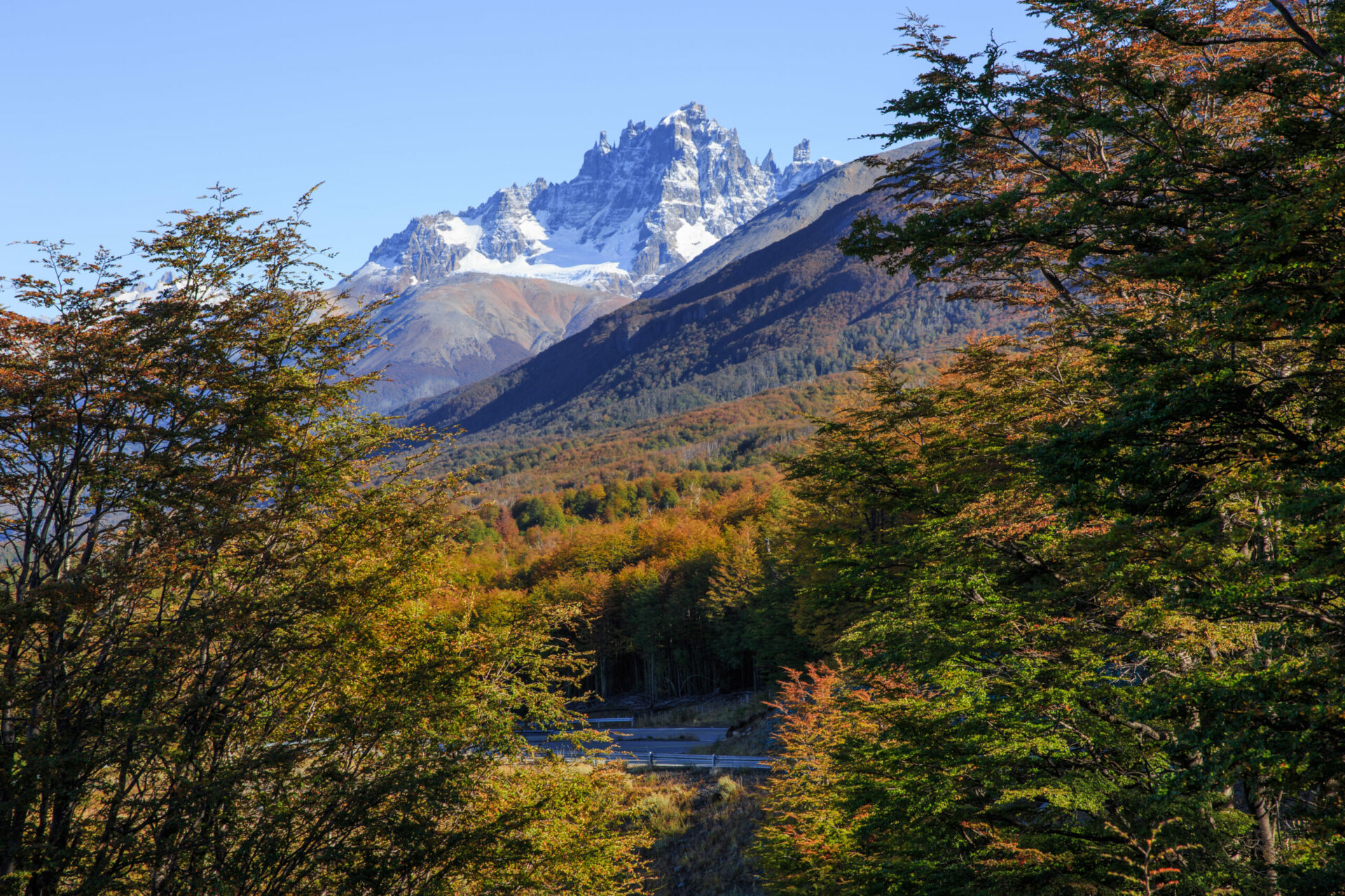 WTA 2023: Chile busca retener título de Mejor Destino Verde del Mundo