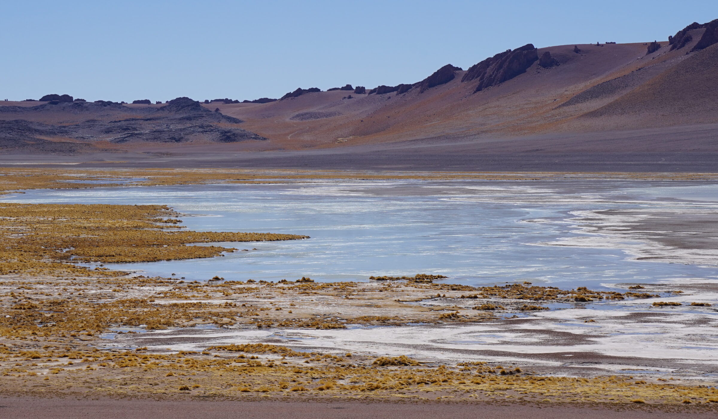 La desprotección de los salares de San Pedro de Atacama: las concesiones mineras que amenazan su conservación