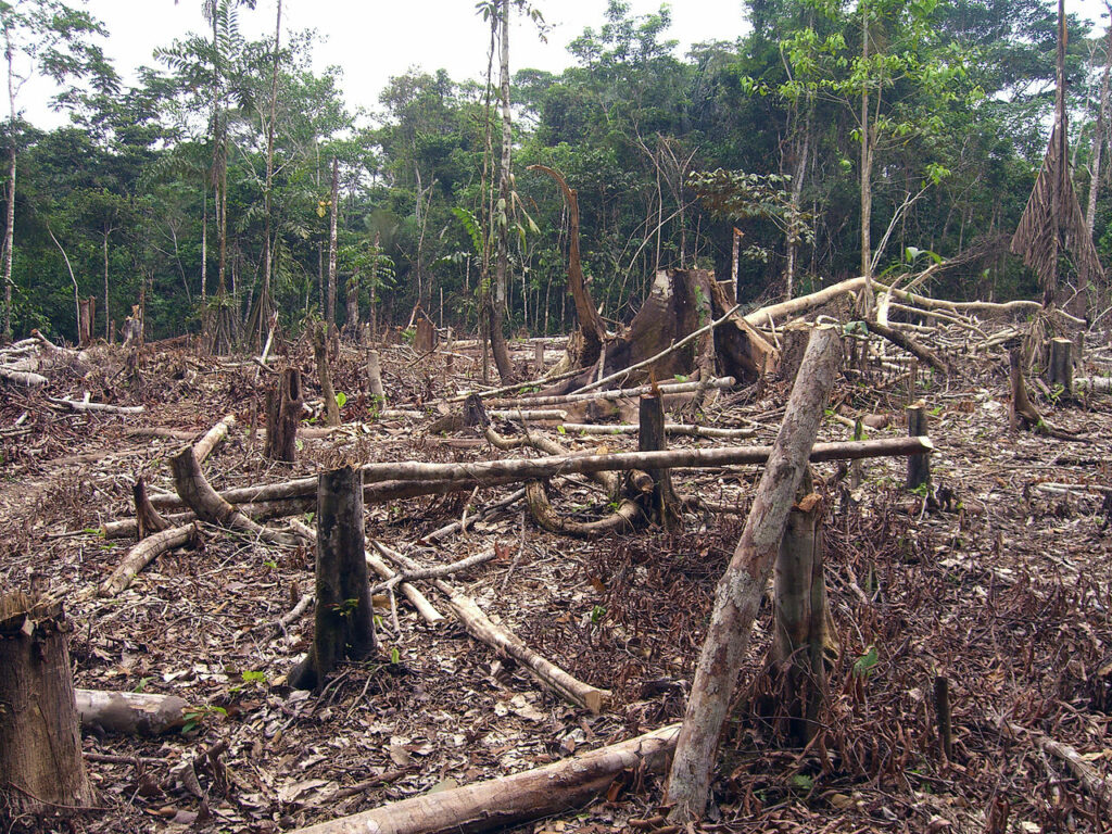 Deforestación Colombia. Créditos a Matt Zimmerman/Wikimedia Commons