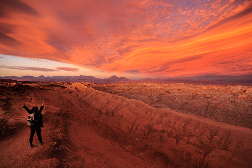 Desierto de Atacama- Foto: Archivo de medios