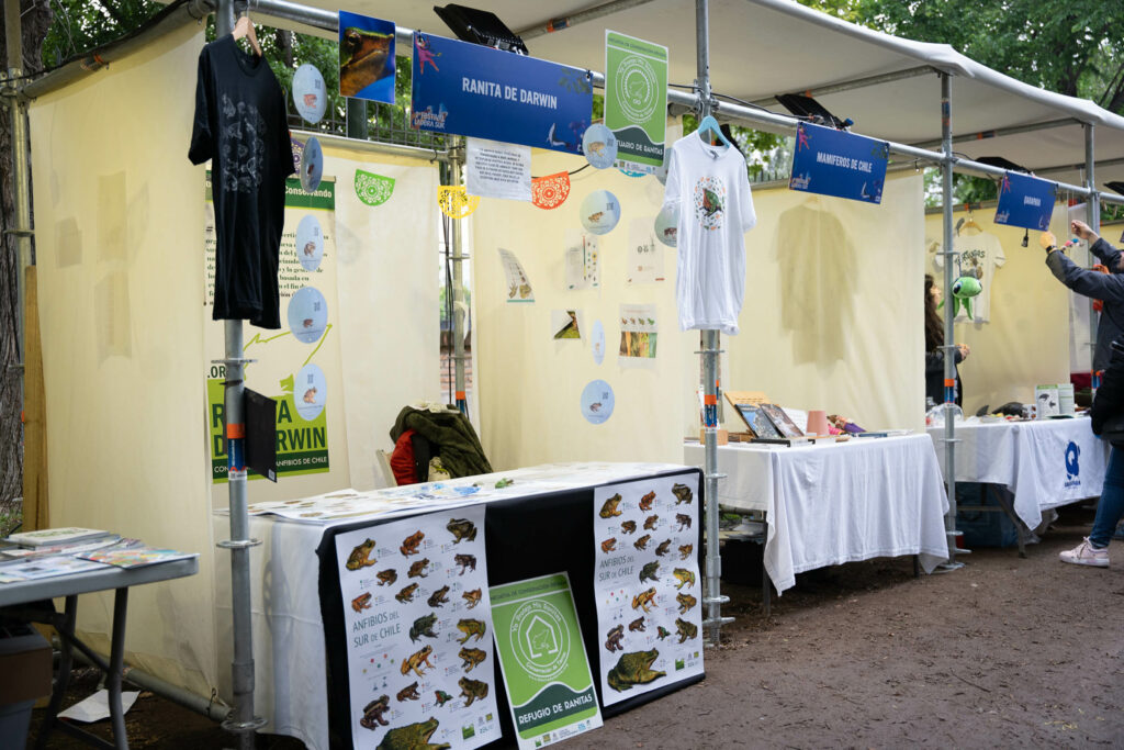 Domingo Festival Ladera Sur.