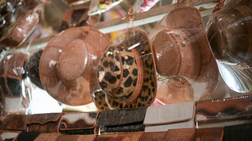 Sombrero creado con la piel de un jaguar juvenil y expuesto para la venta en Trinidad, Bolivia. Stills del documental, filmado junio de 2022. Crédito: World Animal Protection/Botanica Films/Thomas Poole. 