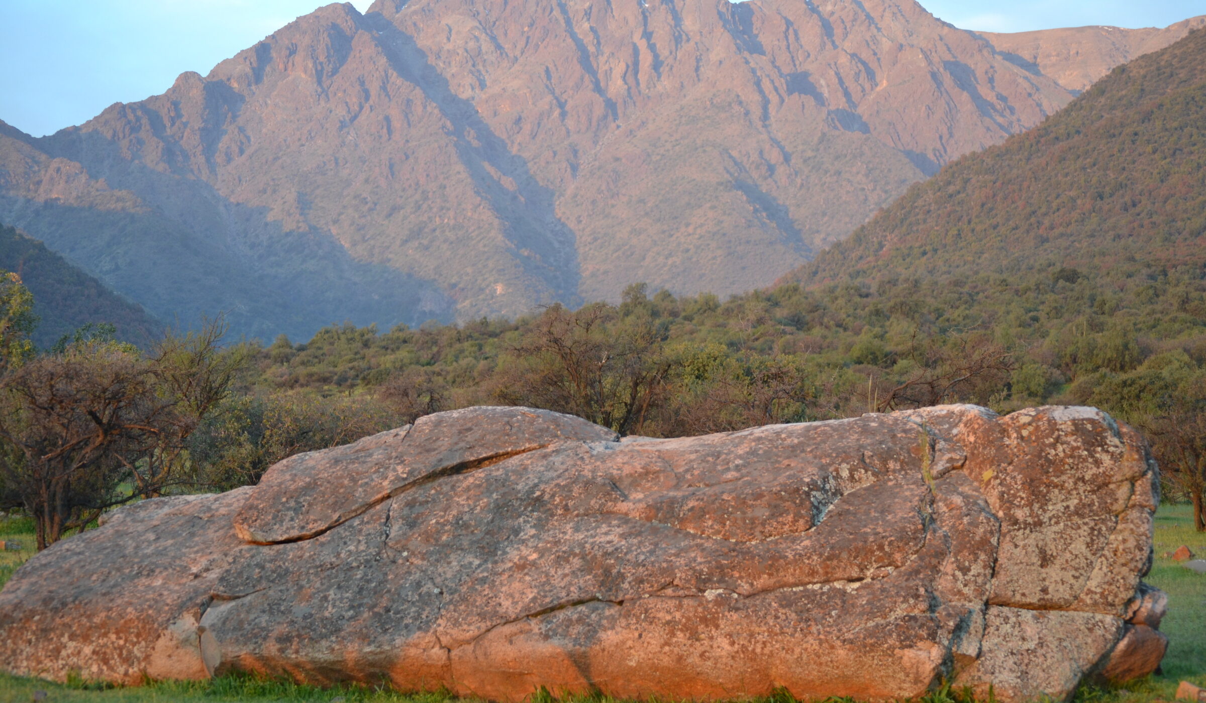 Santuario de la Naturaleza “Las Torcazas de Pirque”: un refugio de naturaleza, biodiversidad y sustentabilidad