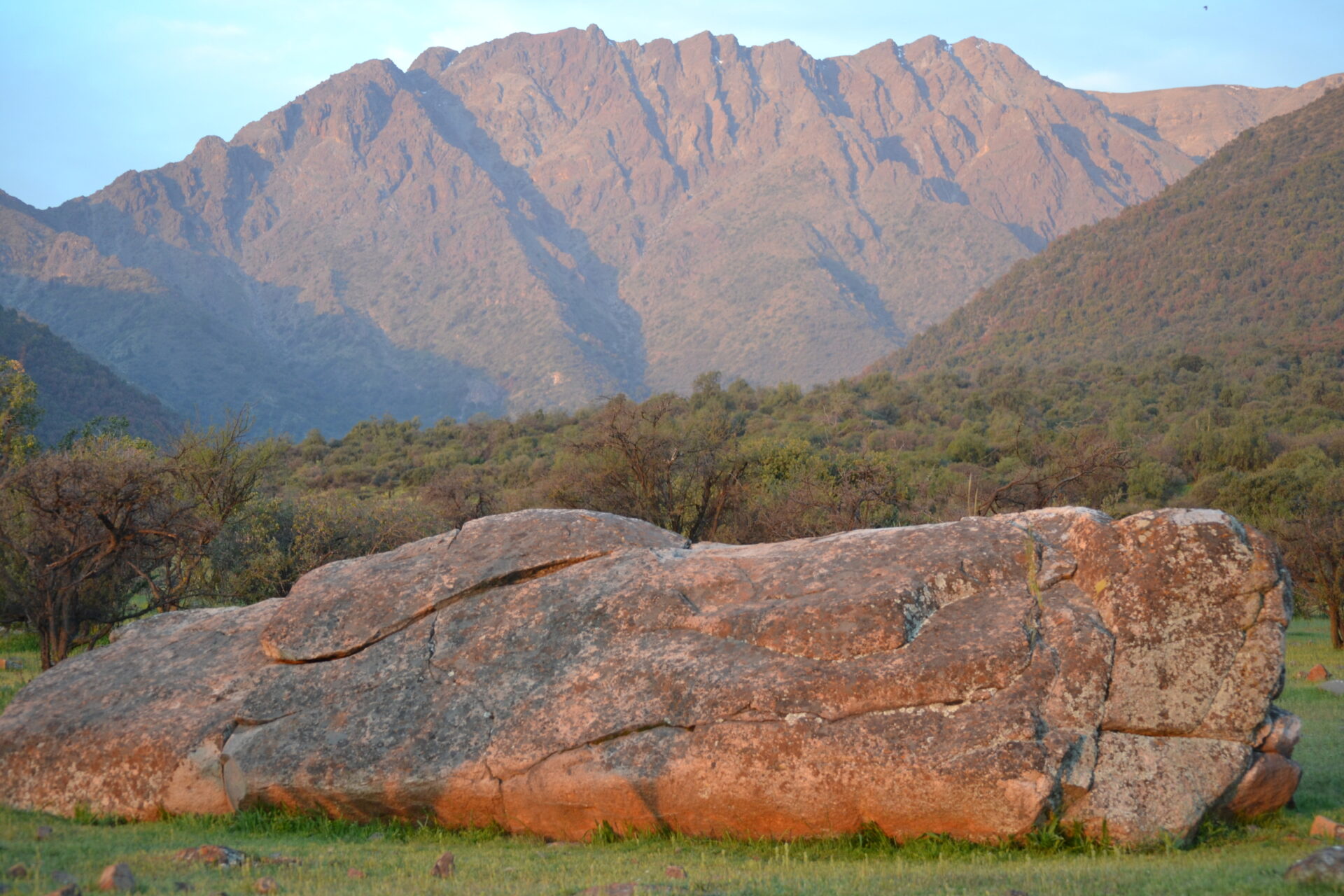 Santuario de la Naturaleza “Las Torcazas de Pirque”: un refugio de naturaleza, biodiversidad y sustentabilidad