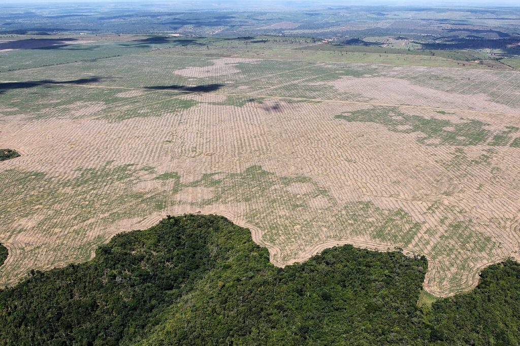 Deforestación en Brasil 2016. Créditos Ibama / Wikimedia Commons.