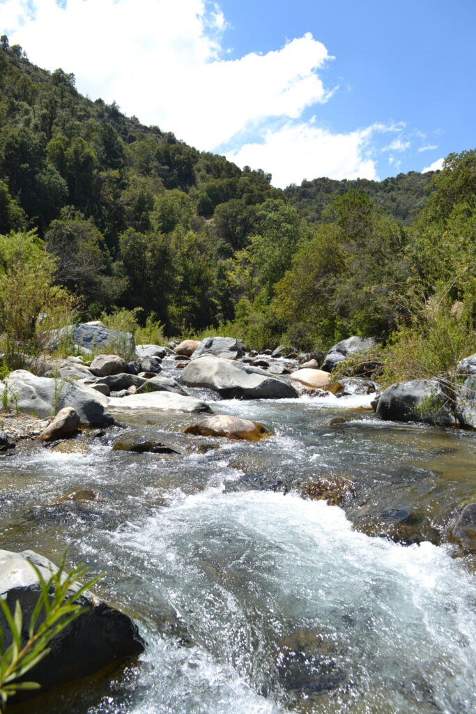 Santuario de la Naturaleza "Las Torcazas de Pirque" Foto: Archivo de medios