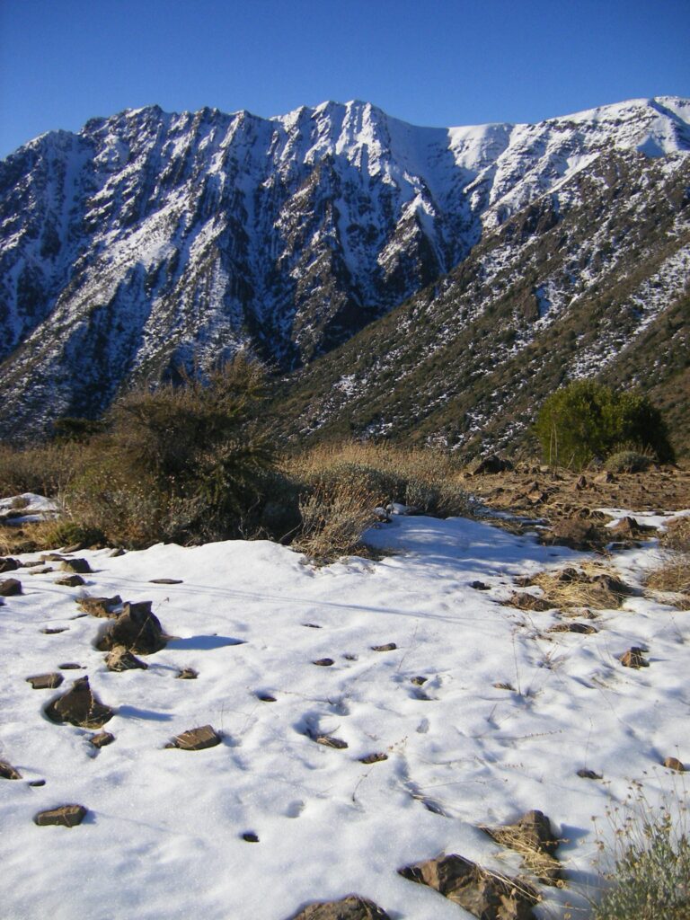 Santuario de la Naturaleza "Las Torcazas de Pirque" Foto: Archivo de medios