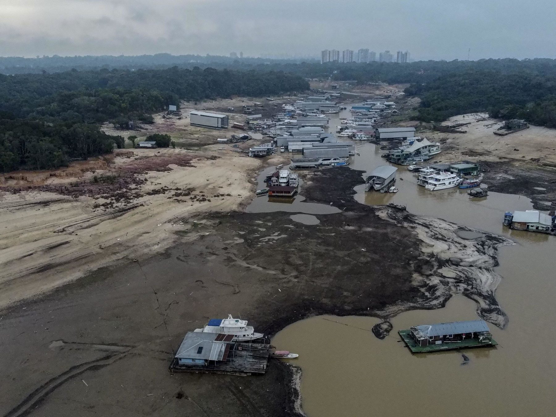 La sequía histórica en la Amazonía, explicada