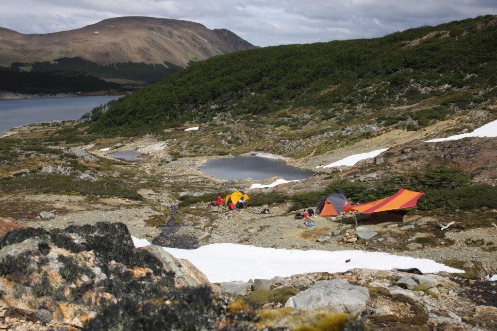 Dientes de Navarino.