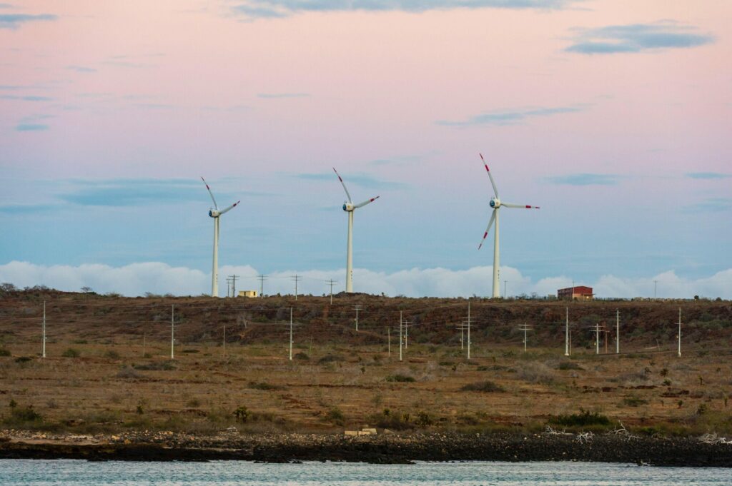 En el parque eólico Baltra-Santa Cruz, en las Islas Galápagos, se ha visto a aves marinas colisionar con los aerogeneradores (Imagen: Alamy)