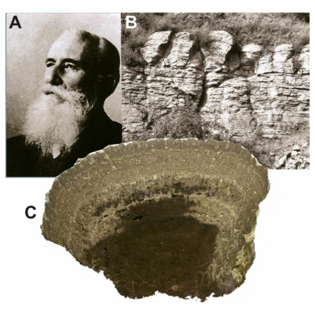 A. Ernst Louis Kalkoswsky. B. Afloramiento de los materiales del Buntsandstein (Triásico) de la localidad tipo en dónde se definieron los estromatolitos, cerca de Heesbergs, Alemania. (Fotografía de J. Paul). C. Muestra del Museo Geocientífico de Göttingen. Créditos: Marta Rodríguez-Martínez.